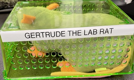 Gertrude the Lab Rat.png